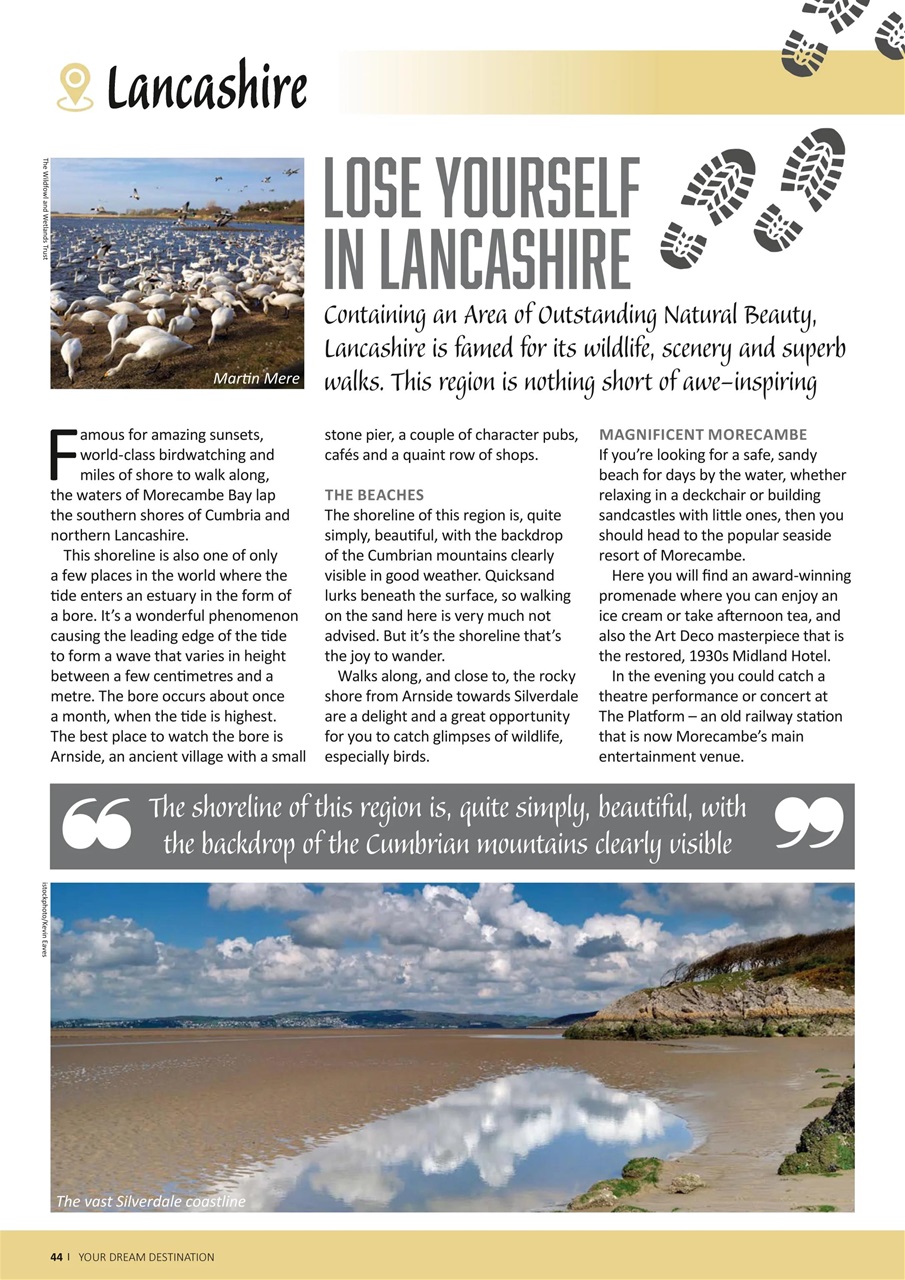 Camping Preview Pages