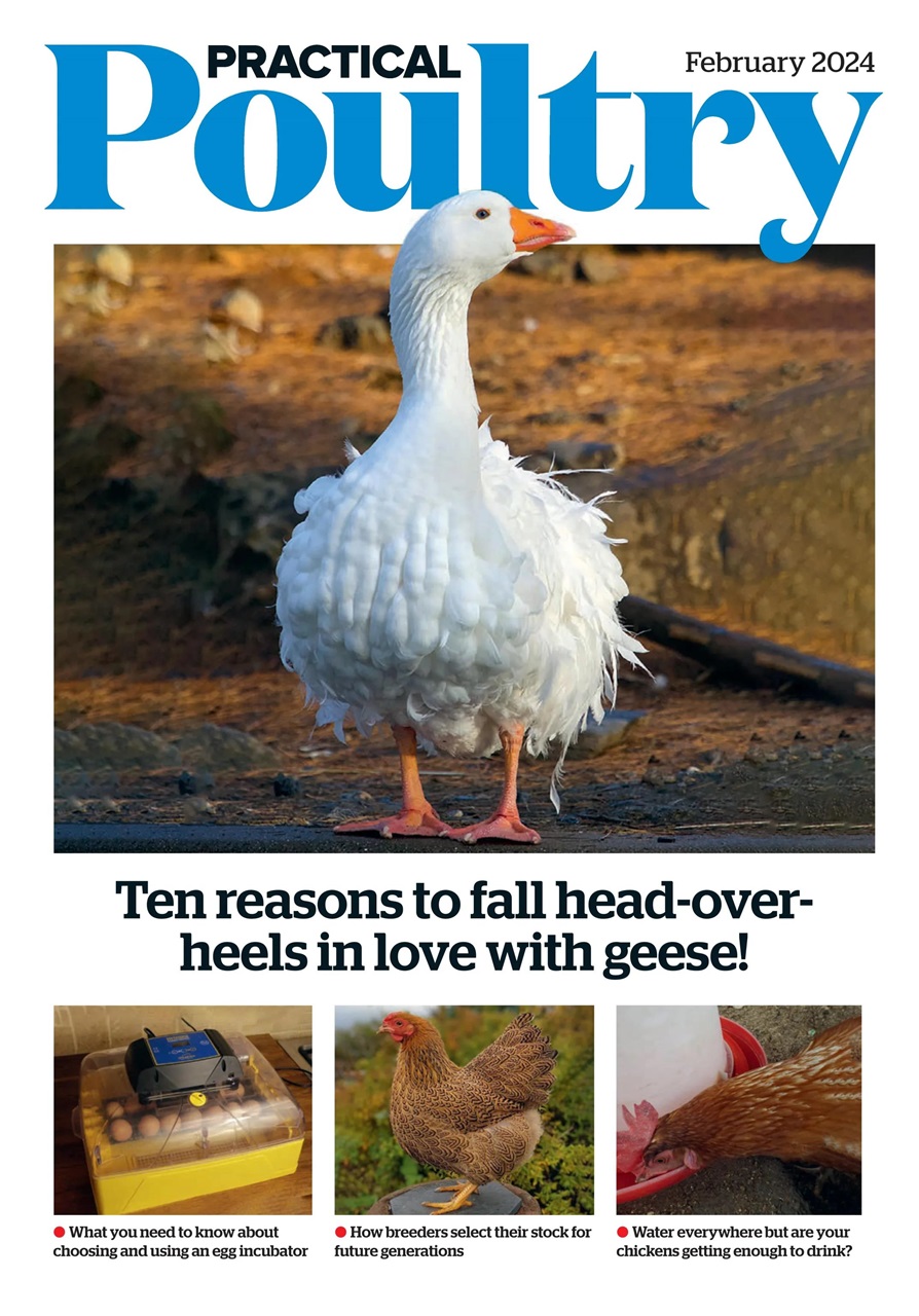 The Country Smallholder Preview Pages
