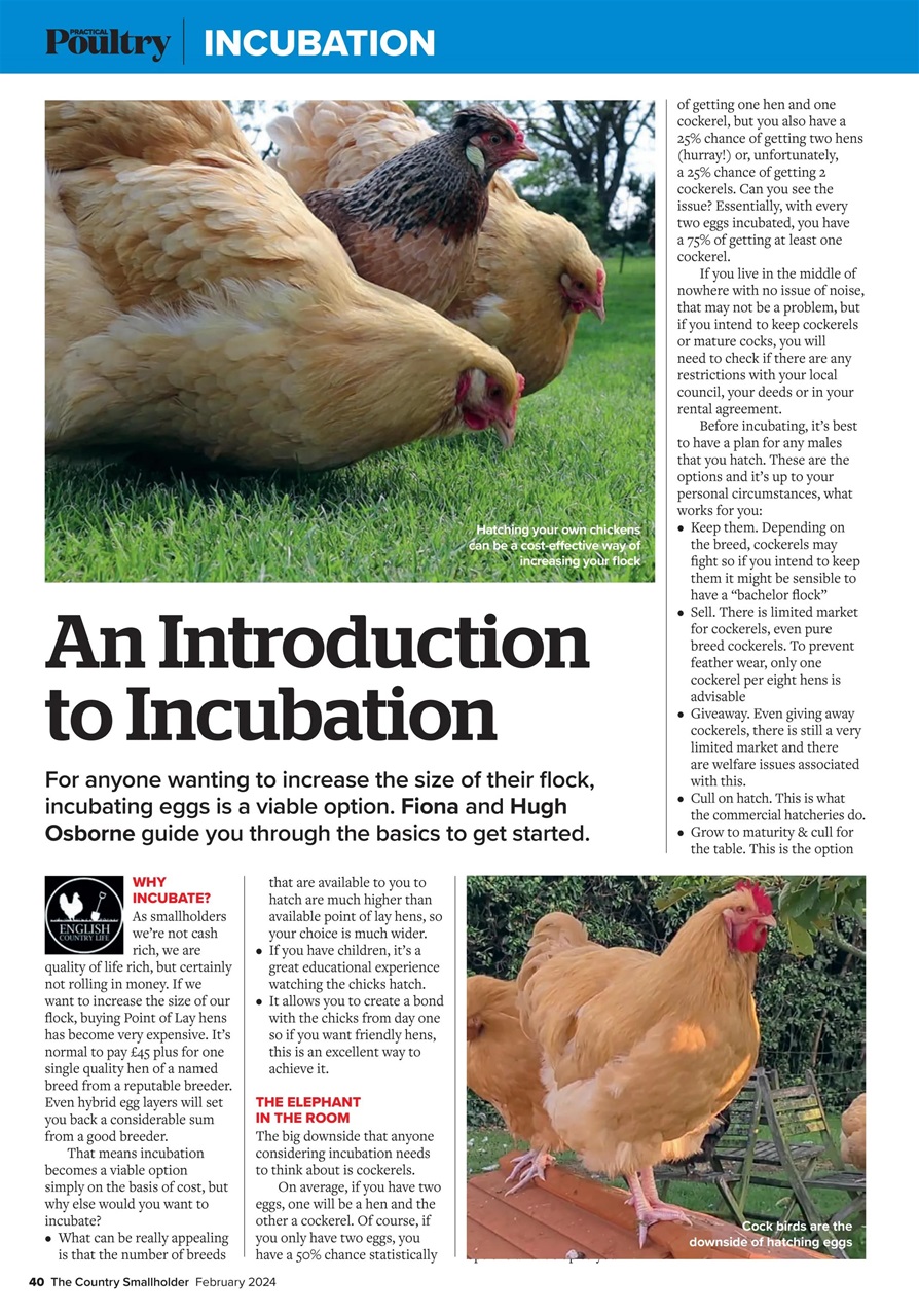 The Country Smallholder Preview Pages