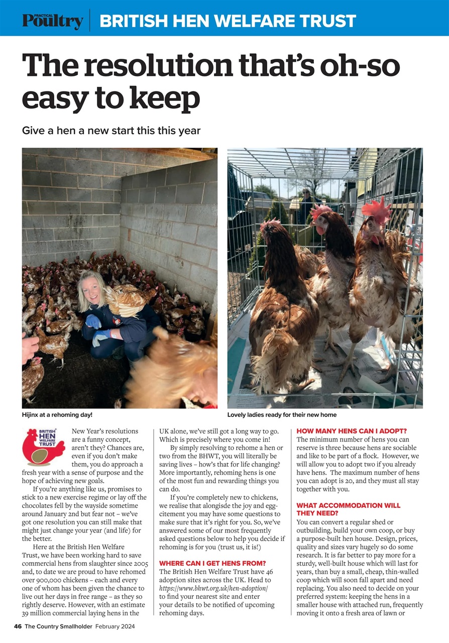 The Country Smallholder Preview Pages