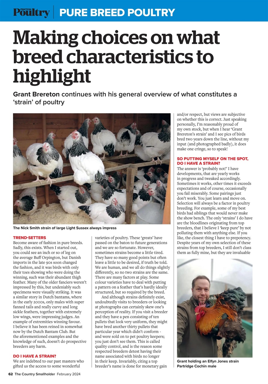 The Country Smallholder Preview Pages