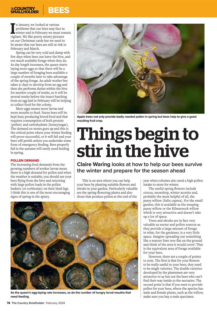 The Country Smallholder Preview Pages