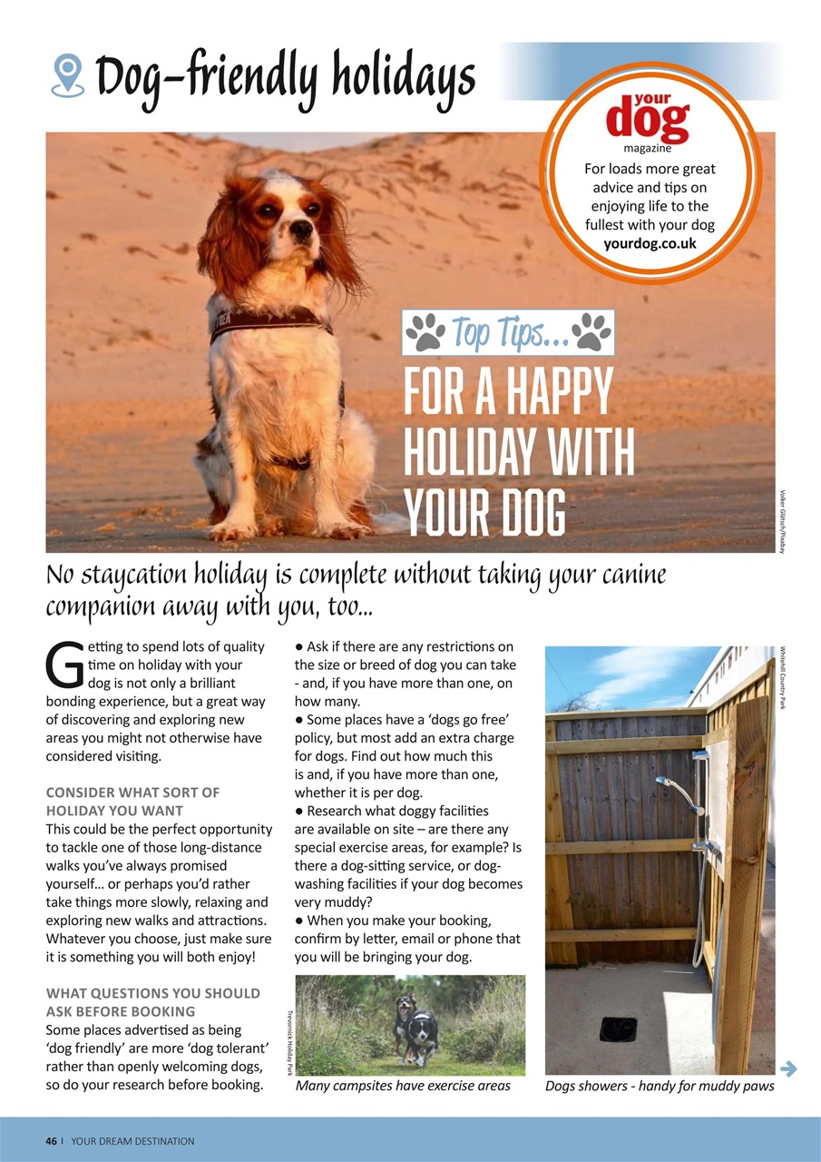 Campervan Preview Pages