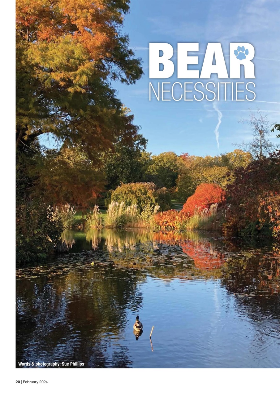 Caravan Magazine Preview Pages