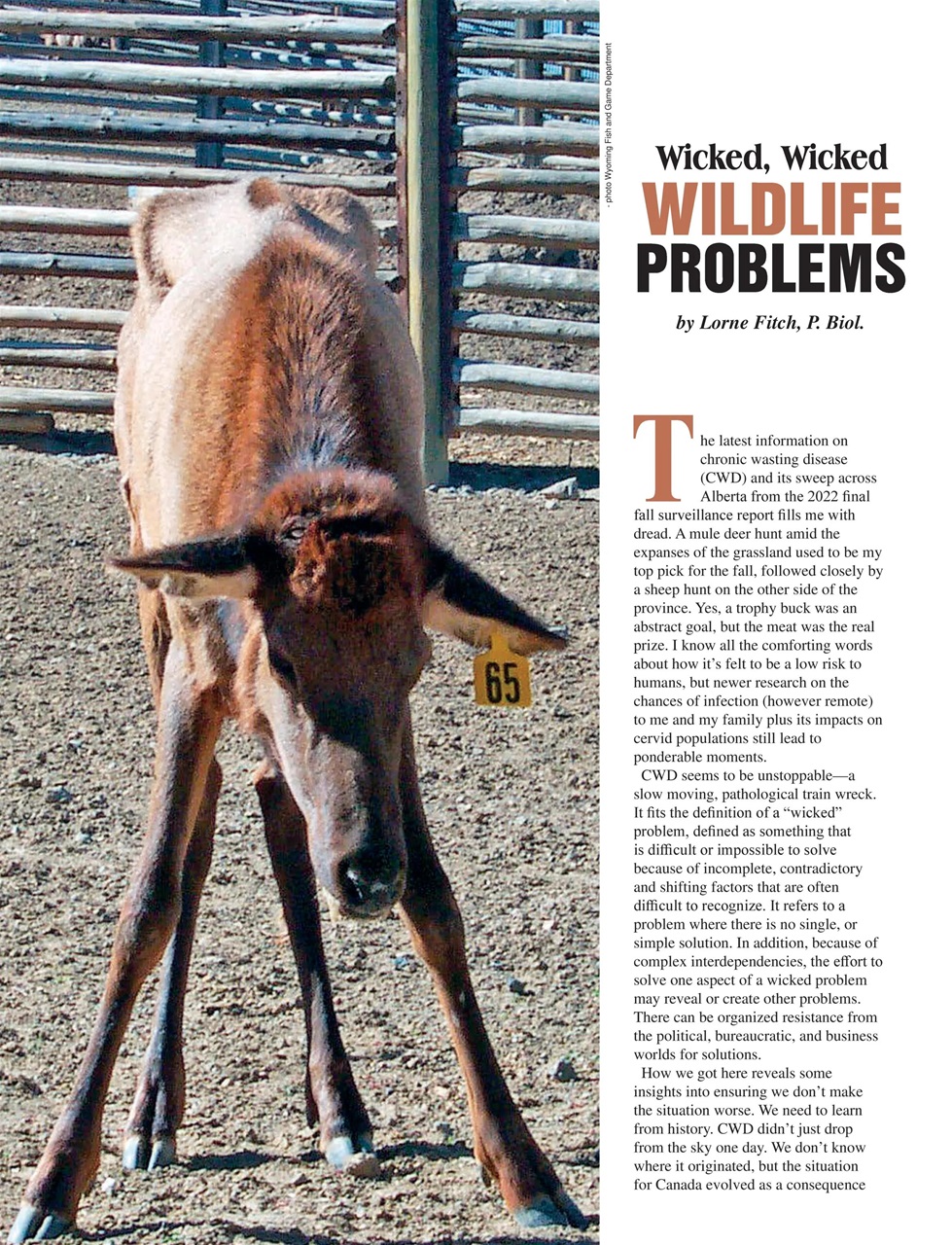 Alberta Outdoors Preview Pages