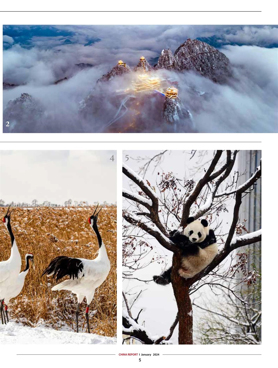 China Report Preview Pages