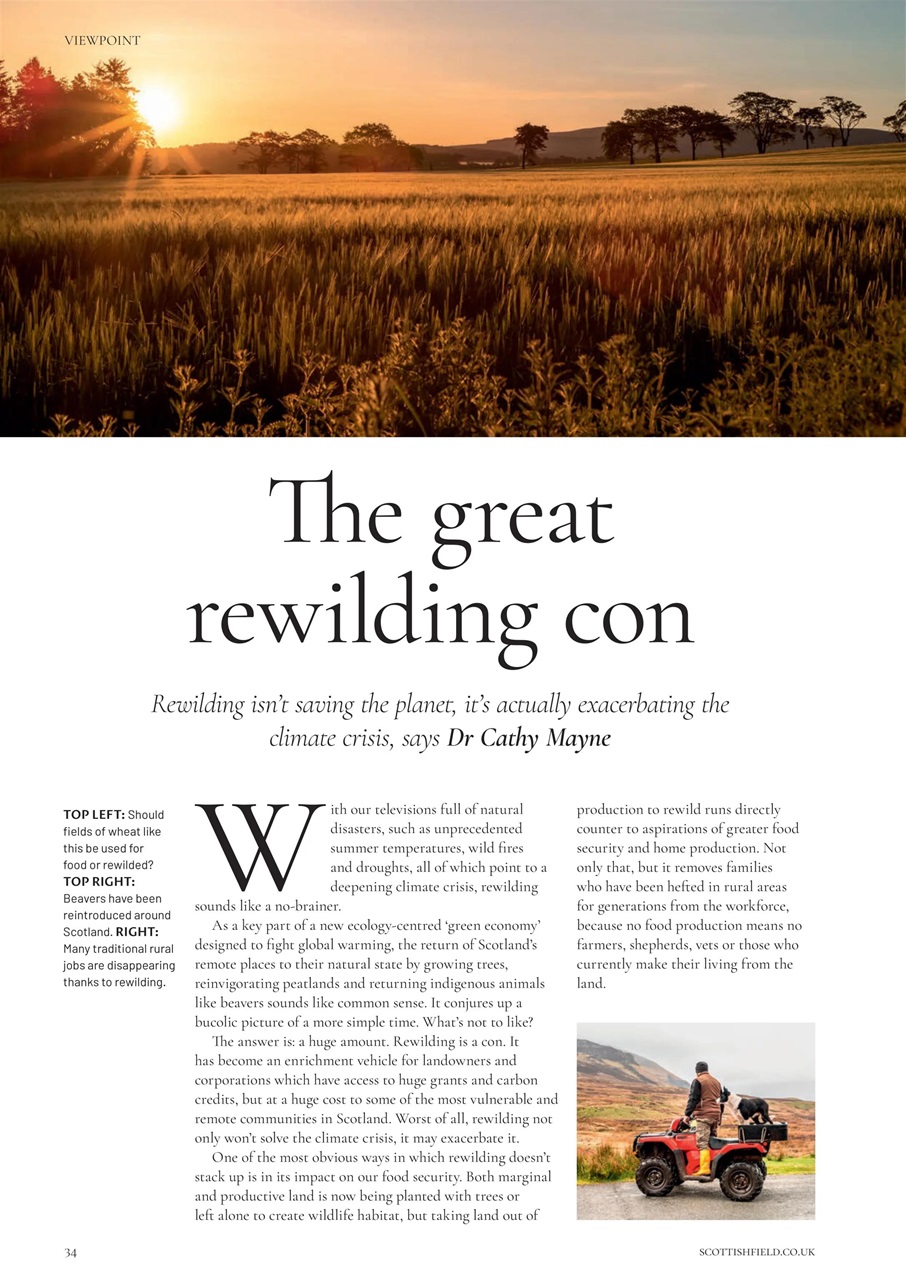 Scottish Field Preview Pages