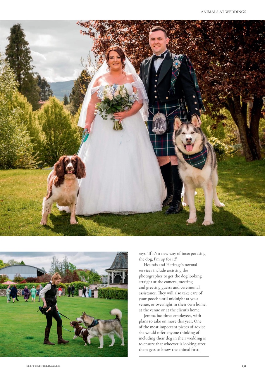 Scottish Field Preview Pages