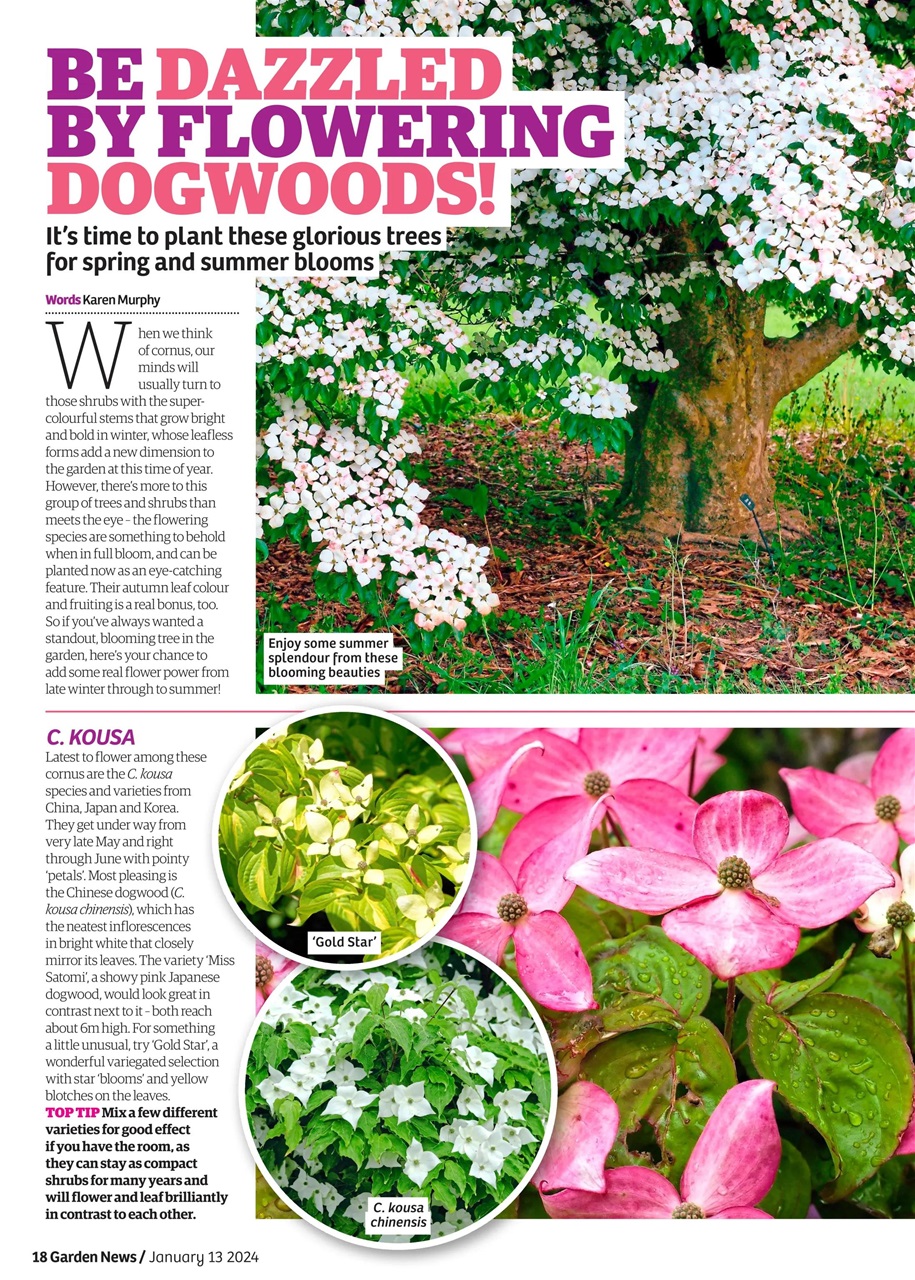 Garden News Preview Pages