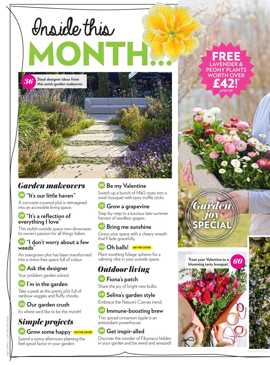 Modern Gardens Preview Pages