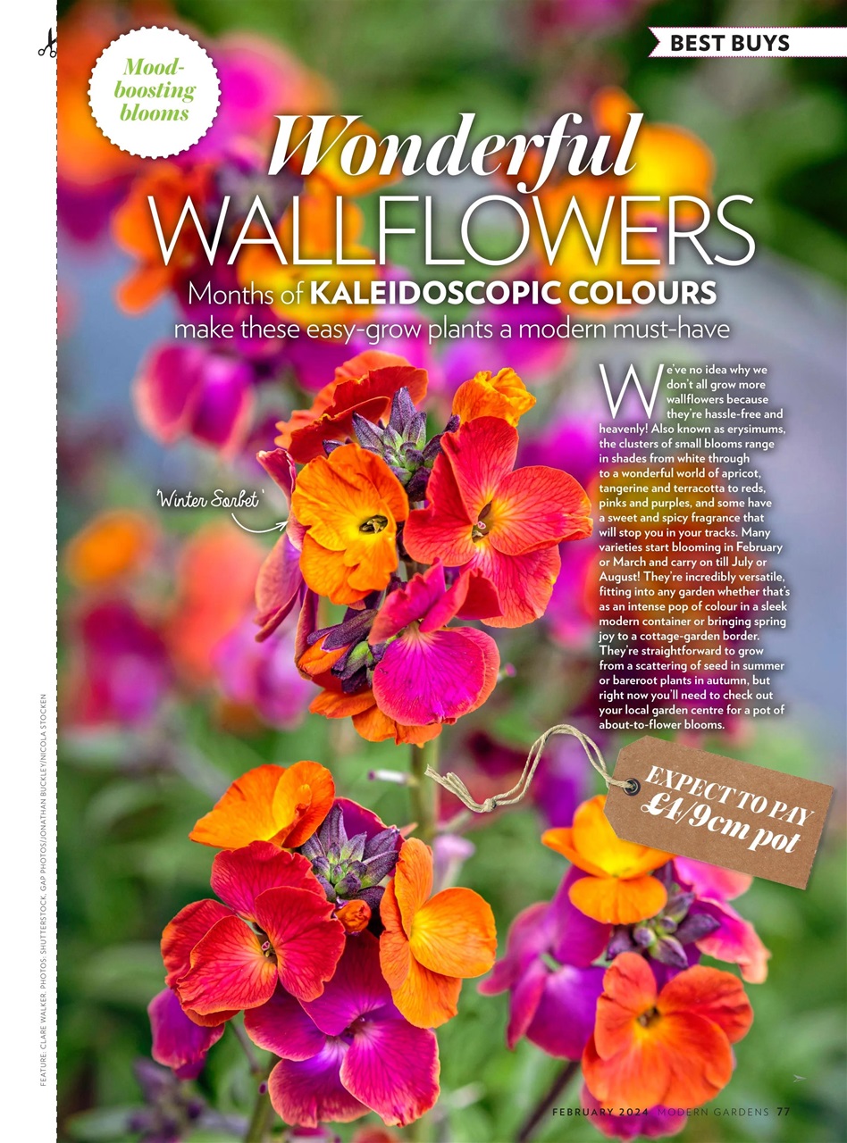 Modern Gardens Preview Pages