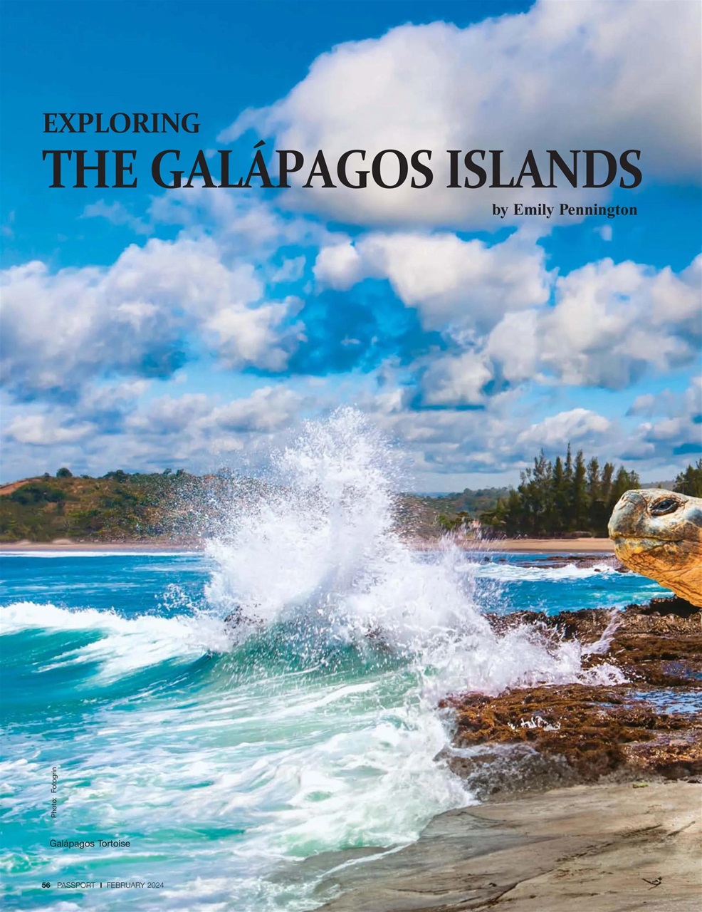 Passport Preview Pages