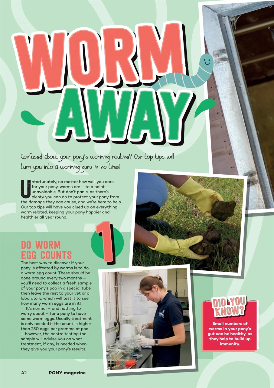 Pony Magazine Preview Pages