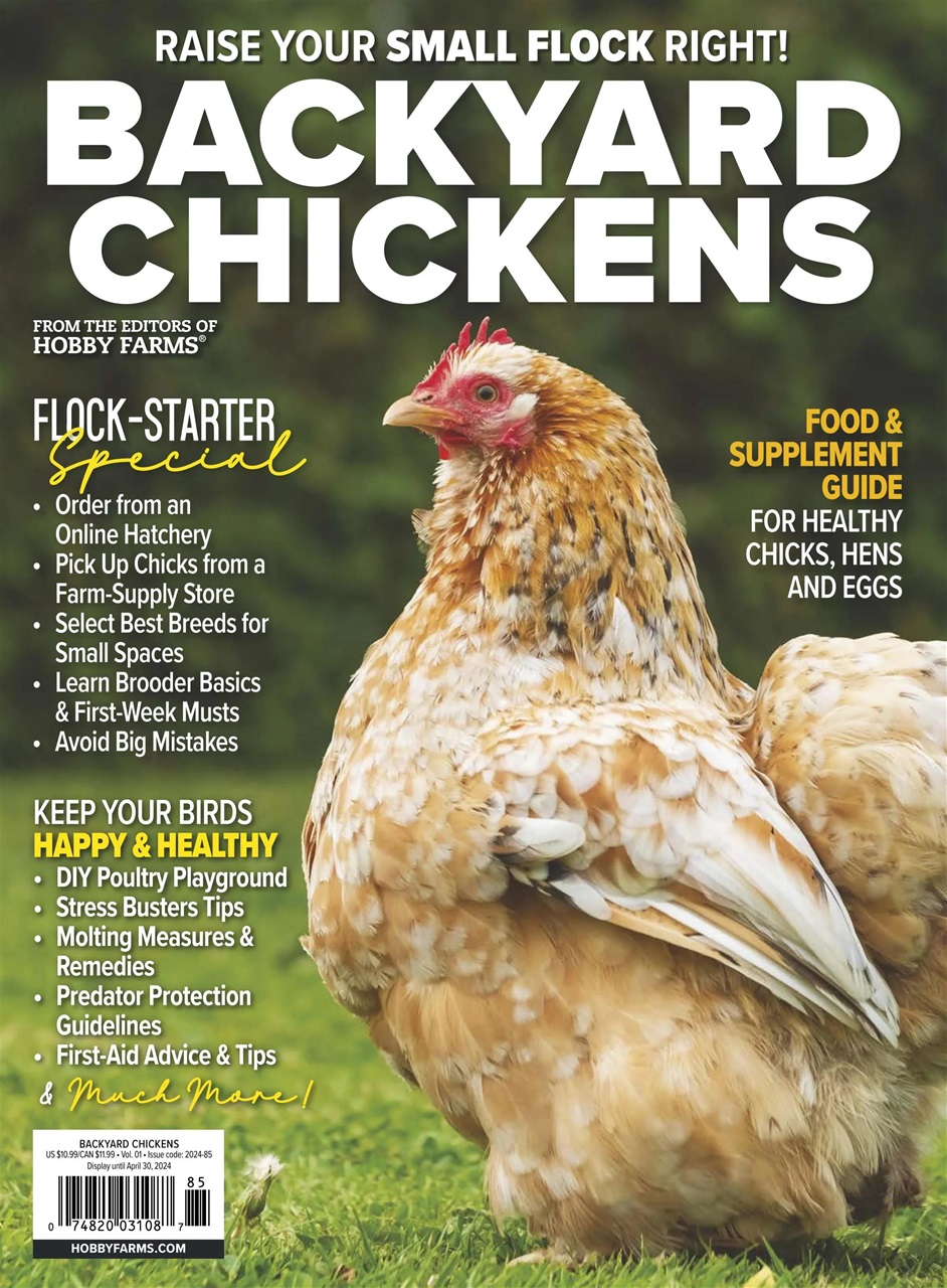 Chickens Magazine Preview Pages