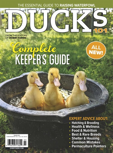 Chickens Magazine issue 