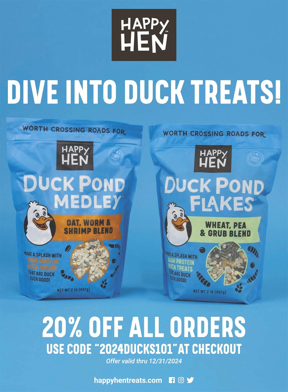 Chickens Magazine Preview Pages