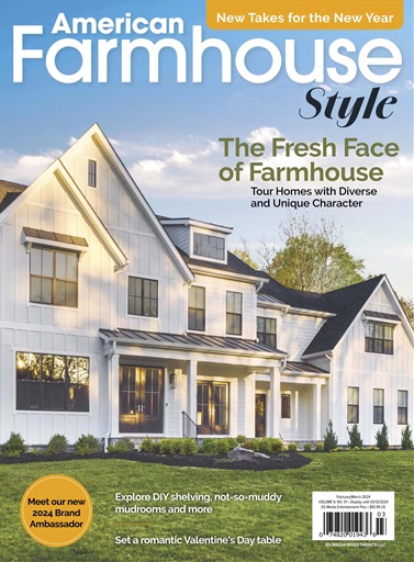 American Farmhouse Style issue 
