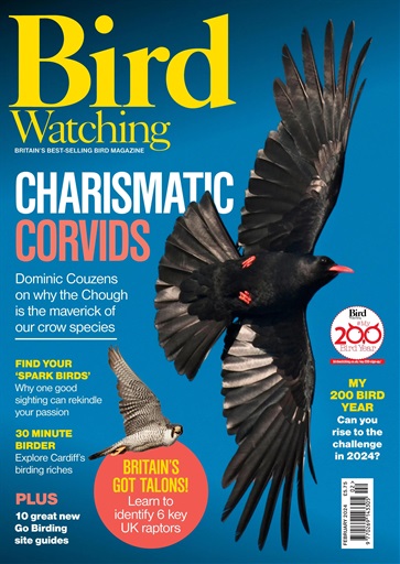 Bird Watching issue 