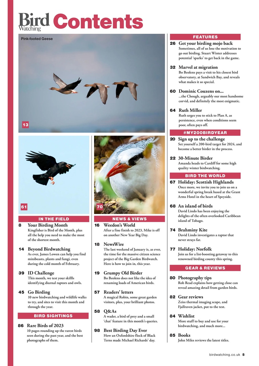 Bird Watching Preview Pages