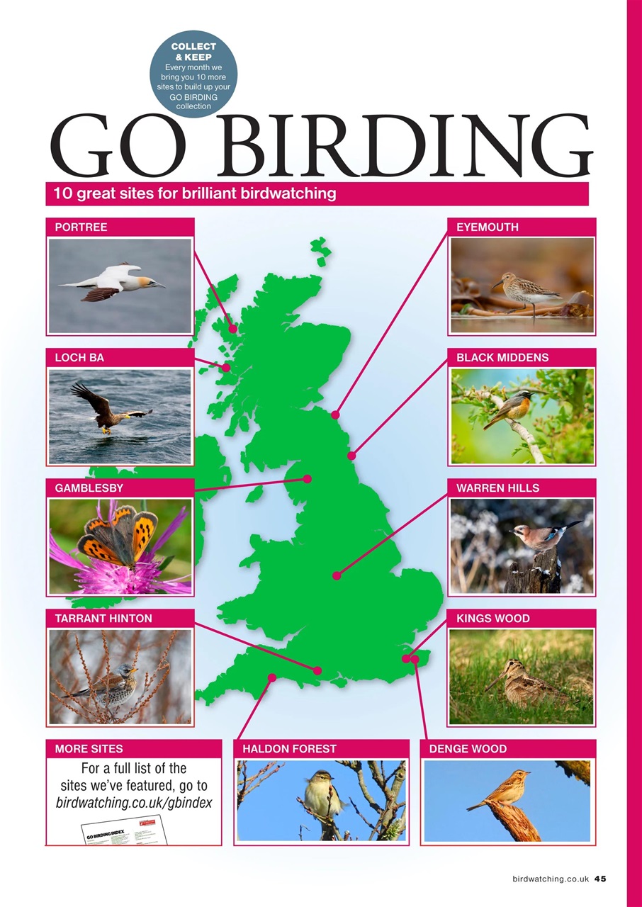 Bird Watching Preview Pages