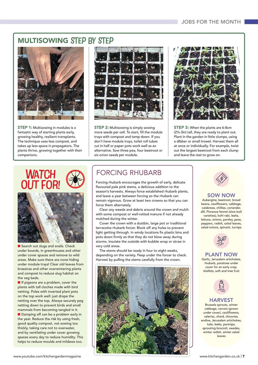 Kitchen Garden Magazine Preview Pages