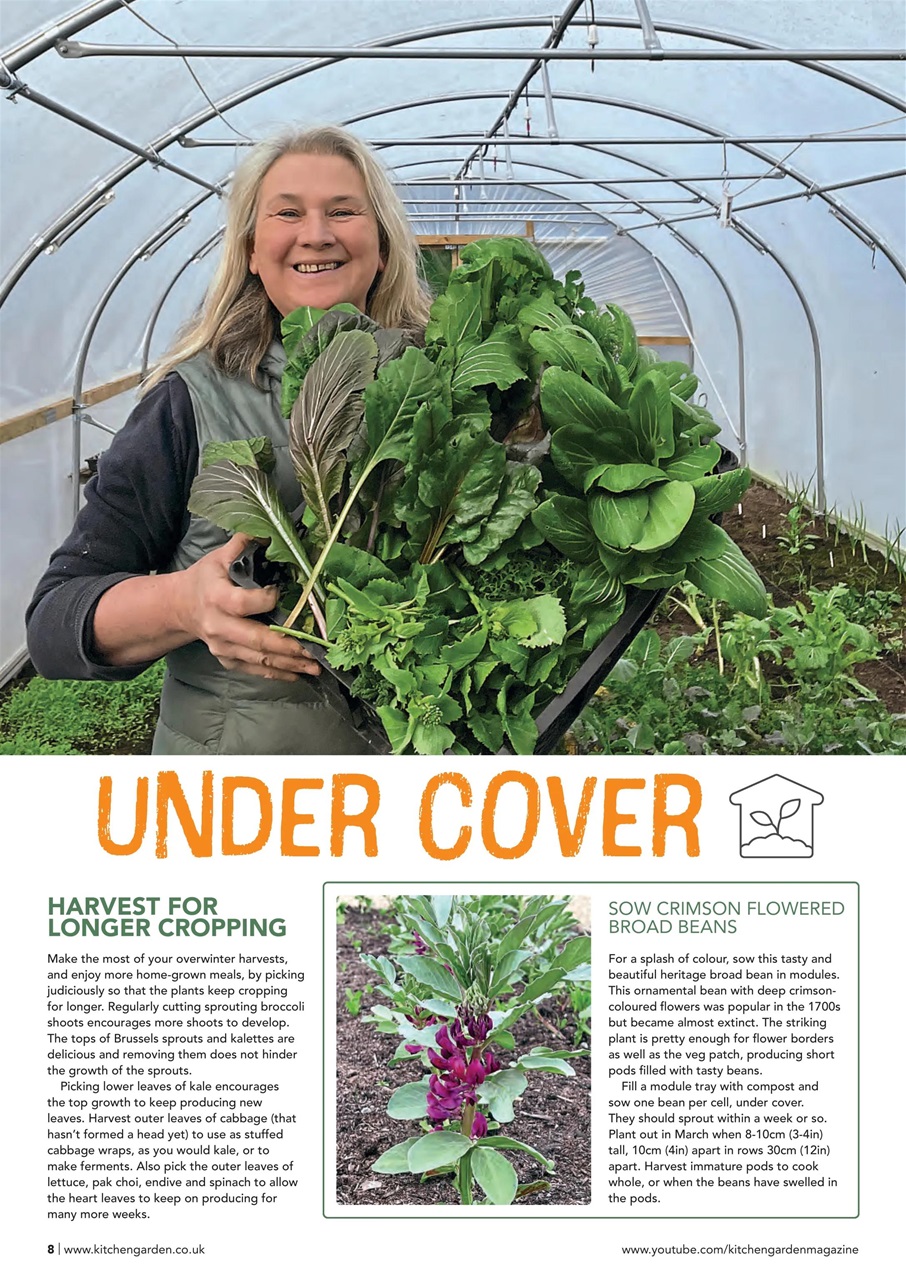 Kitchen Garden Magazine Preview Pages