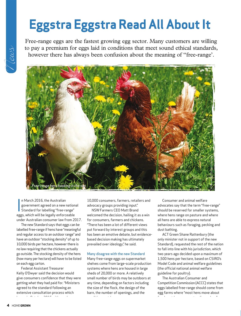 HomeGrown Preview Pages