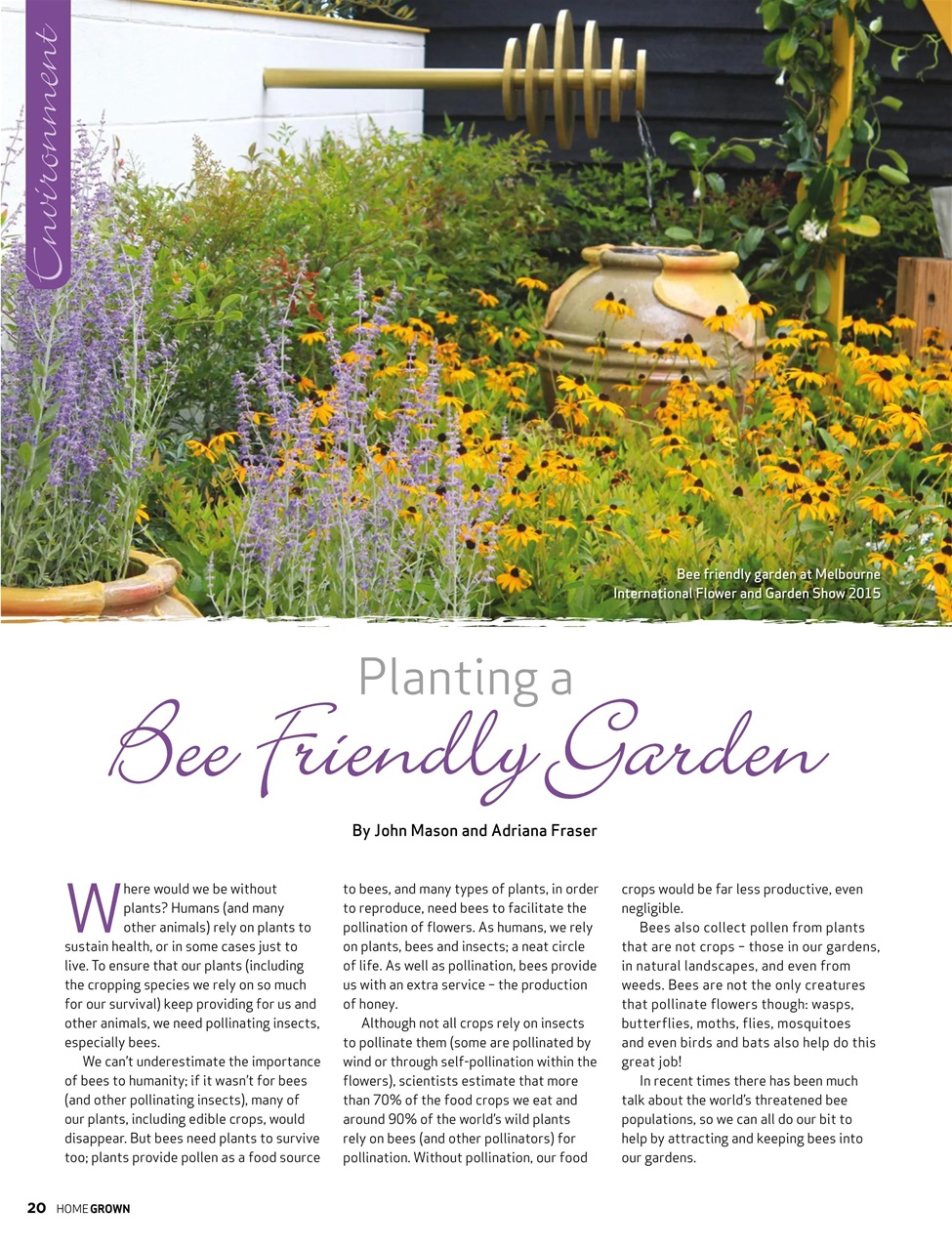 HomeGrown Preview Pages