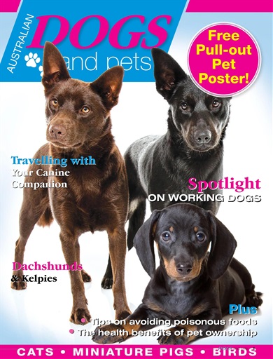 Dogs and Pets issue 