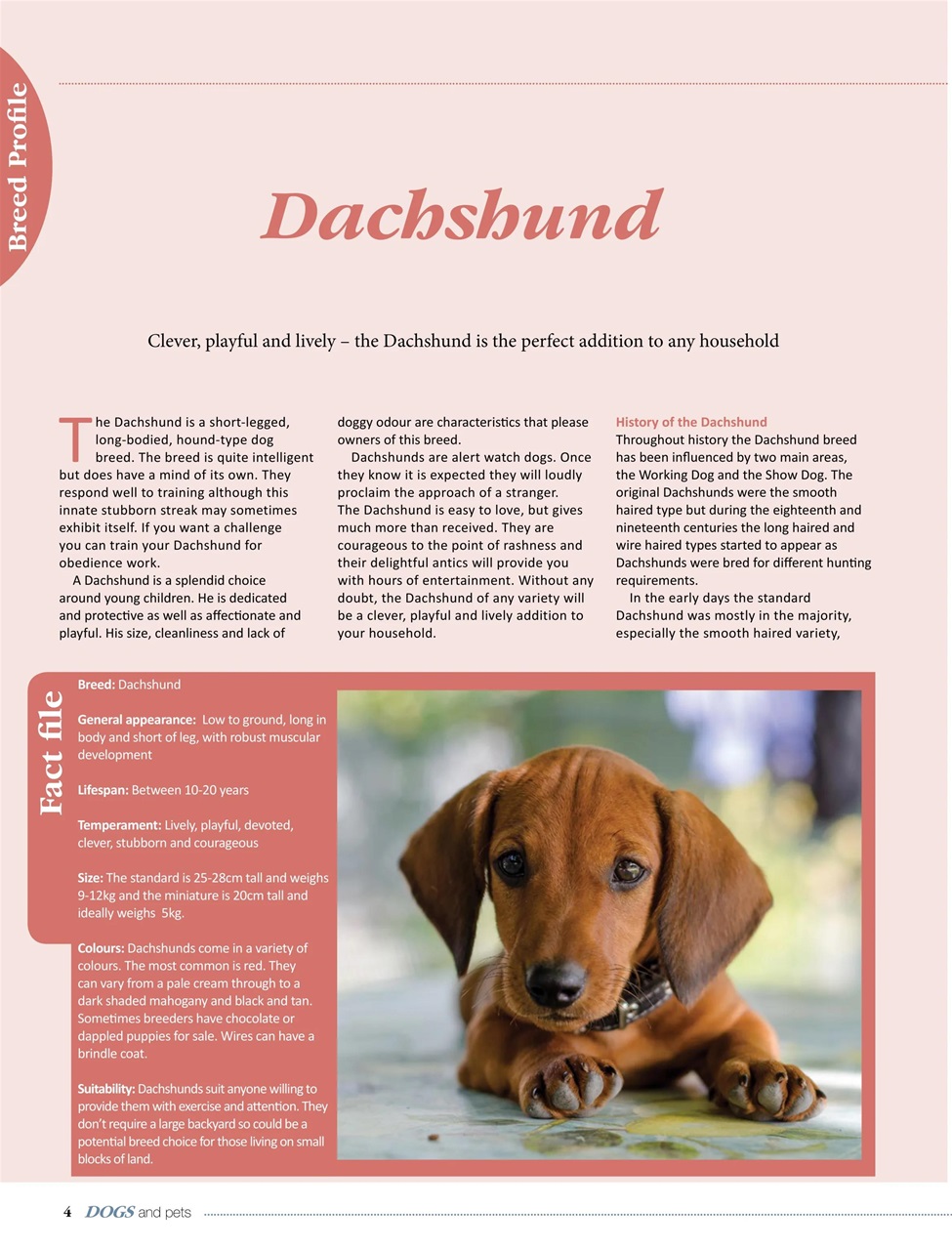 Dogs and Pets Preview Pages