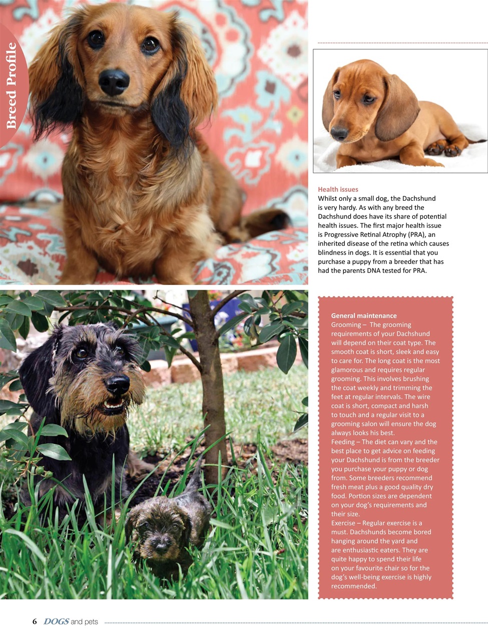 Dogs and Pets Preview Pages