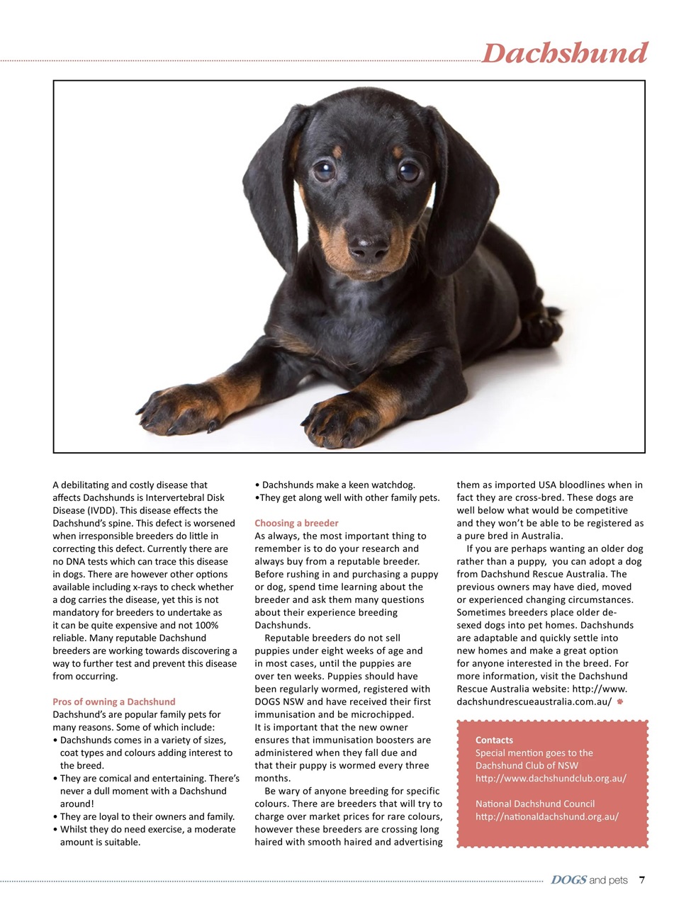 Dogs and Pets Preview Pages