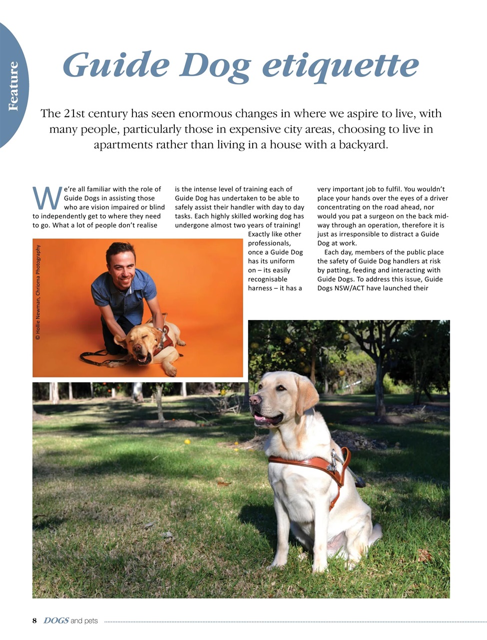 Dogs and Pets Preview Pages