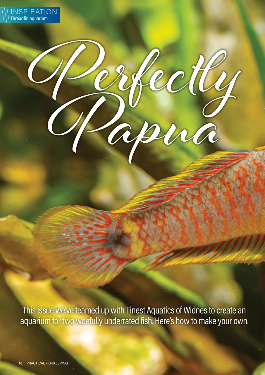 Practical Fishkeeping Preview Pages