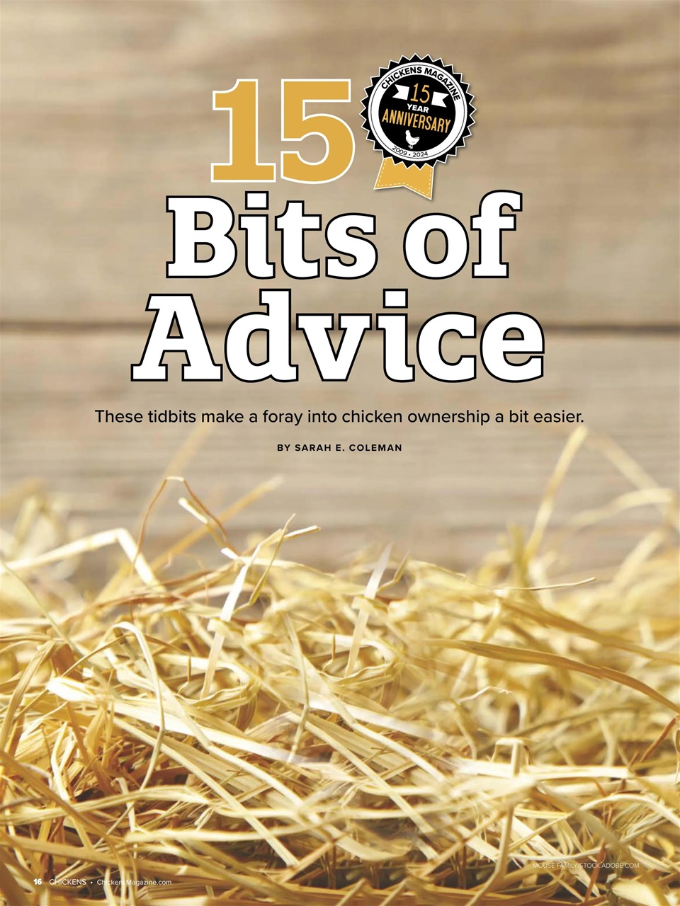 Chickens Magazine Preview Pages