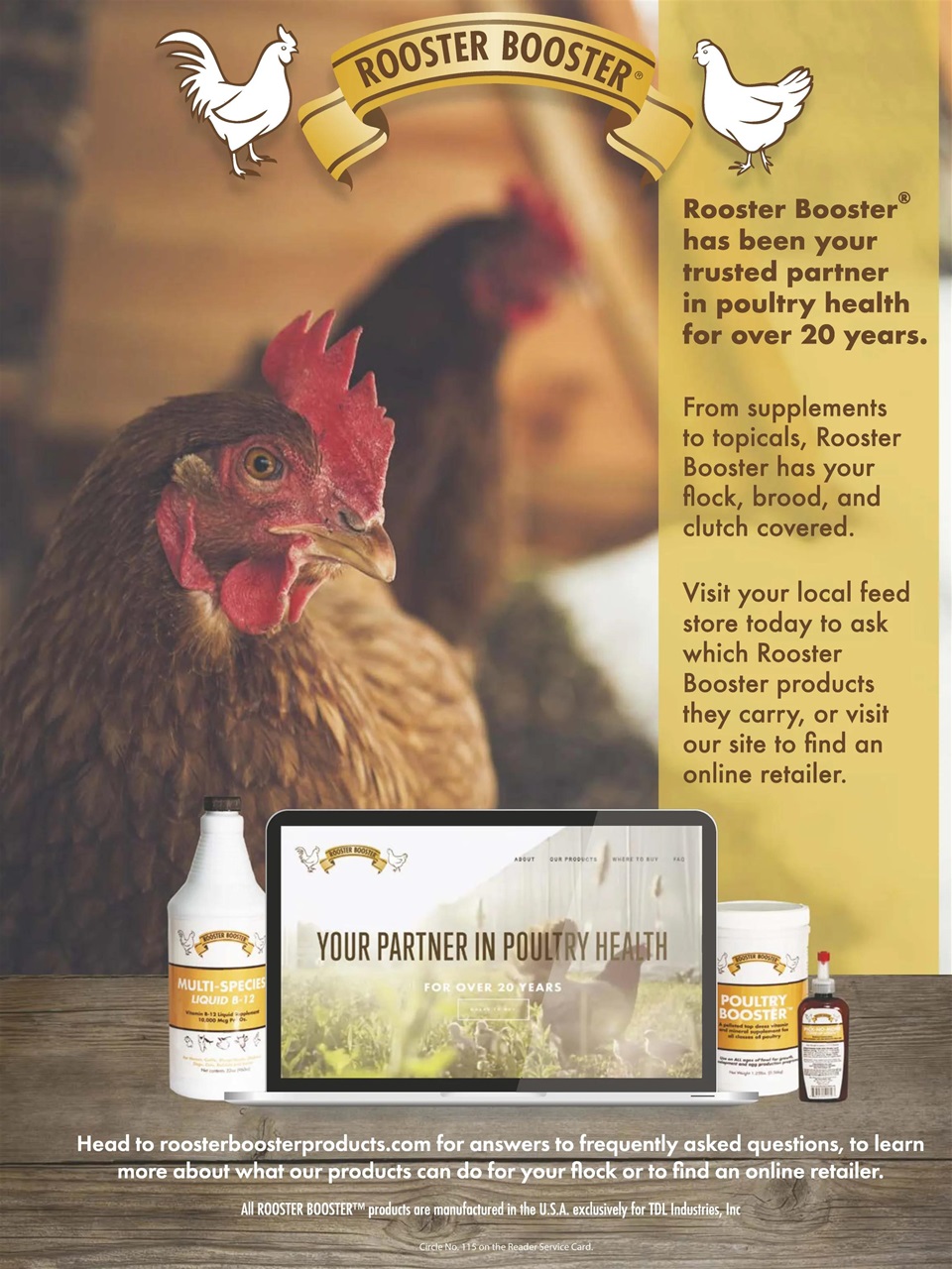 Chickens Magazine Preview Pages