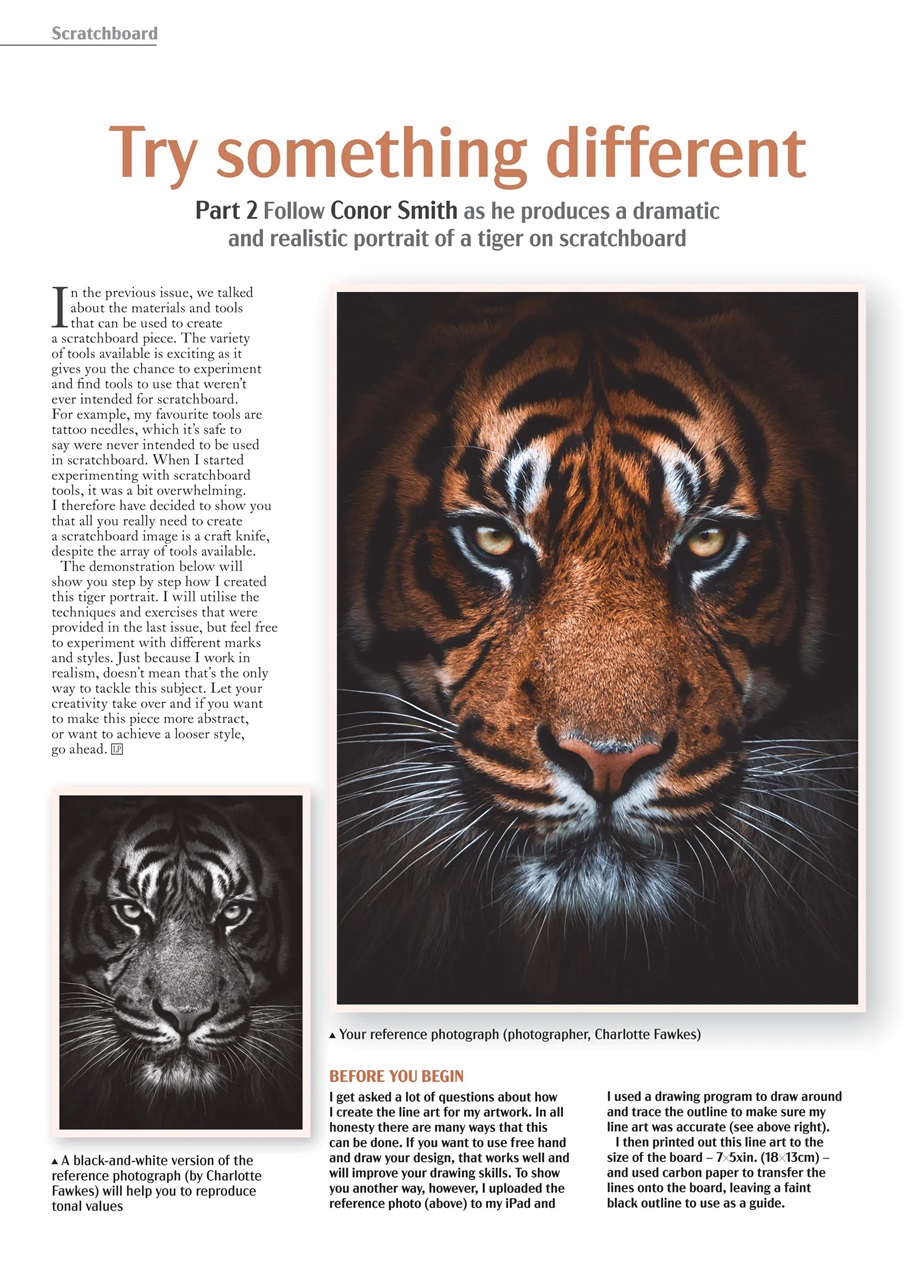 Leisure Painter & The Artist Preview Pages