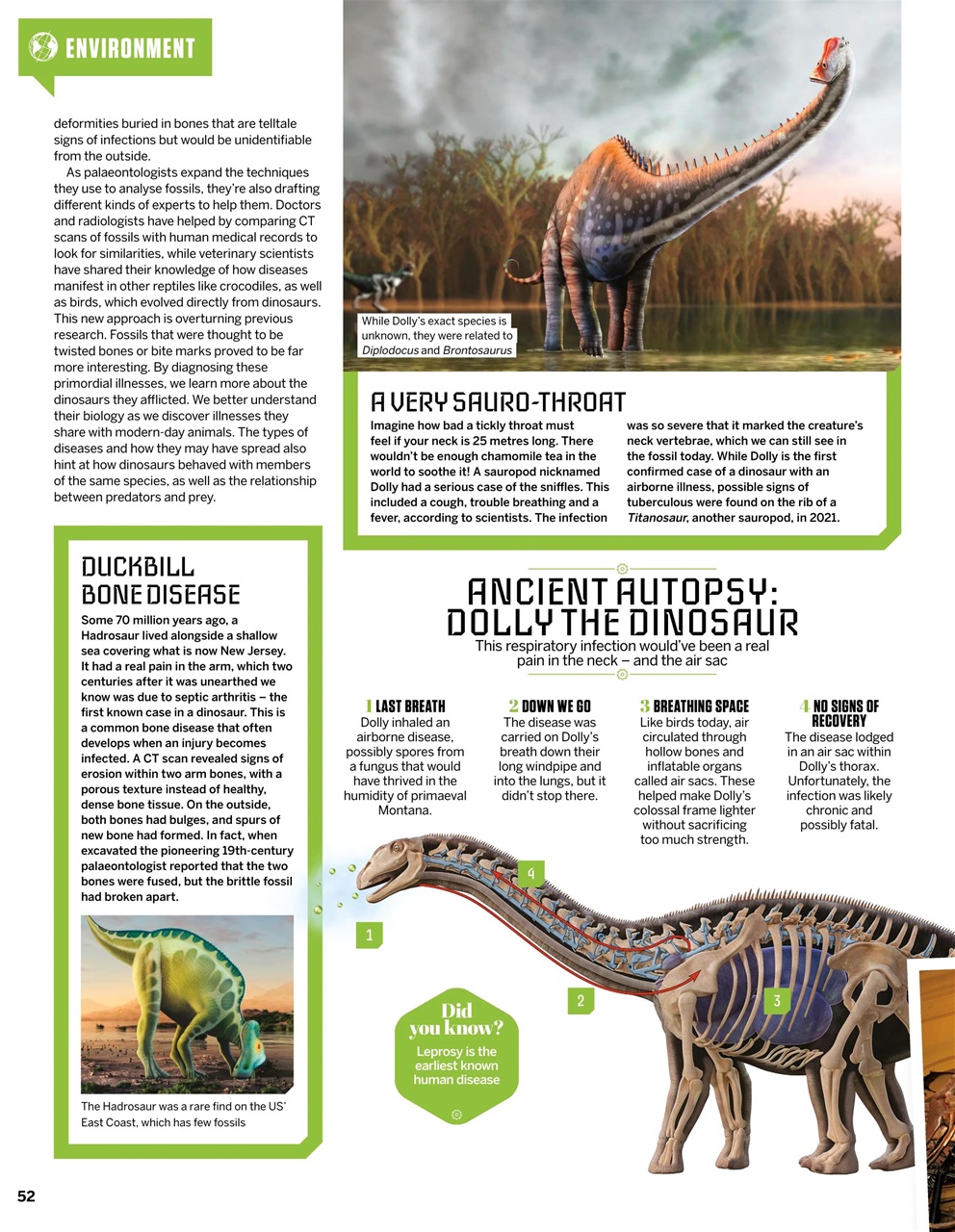 How It Works Preview Pages