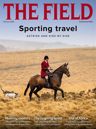 The Field issue 
