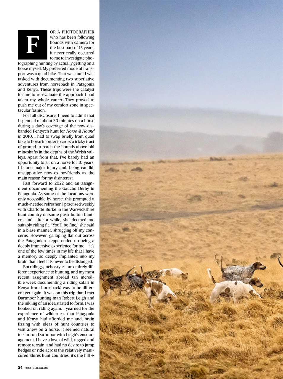 The Field Preview Pages