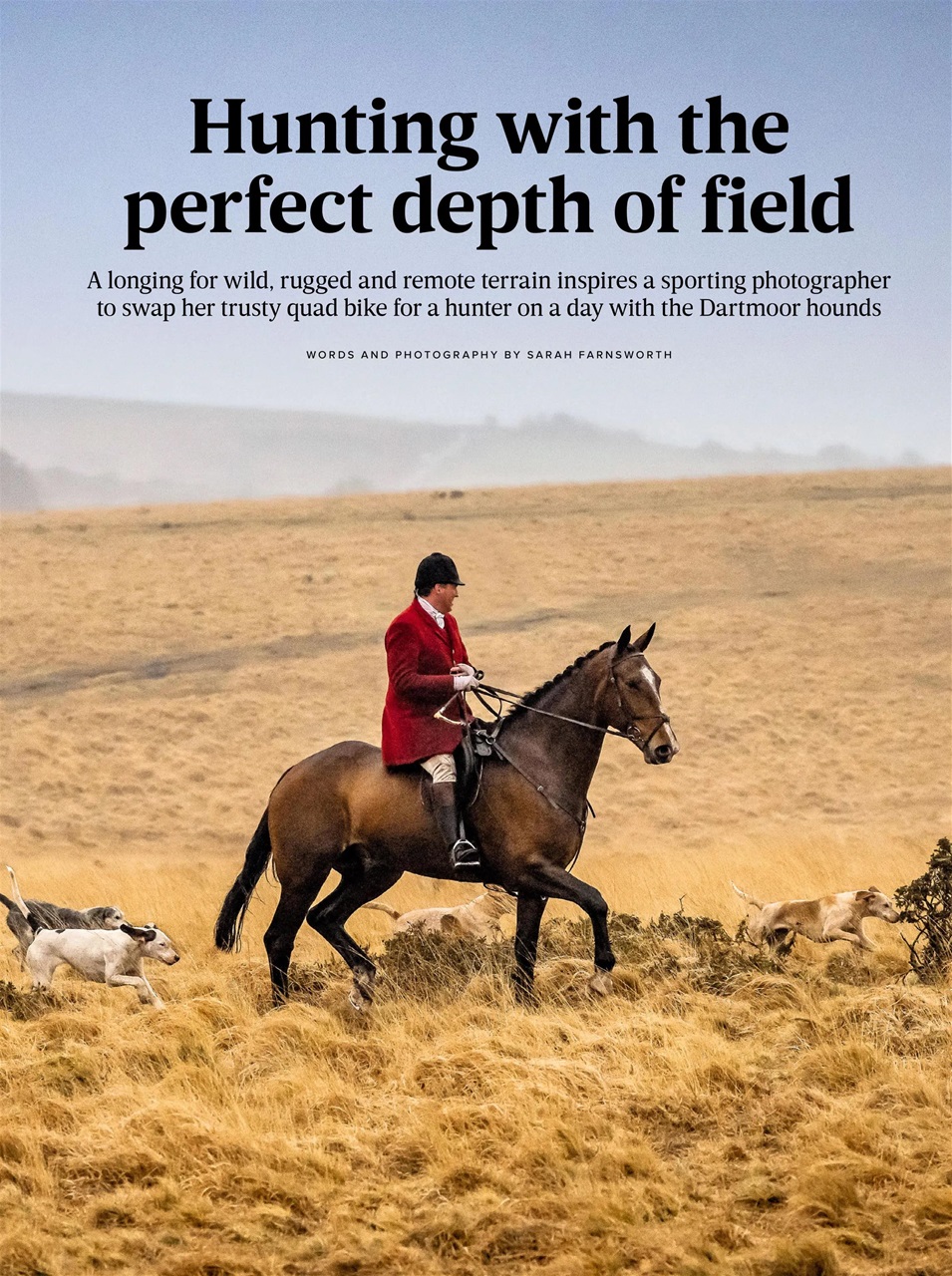 The Field Preview Pages