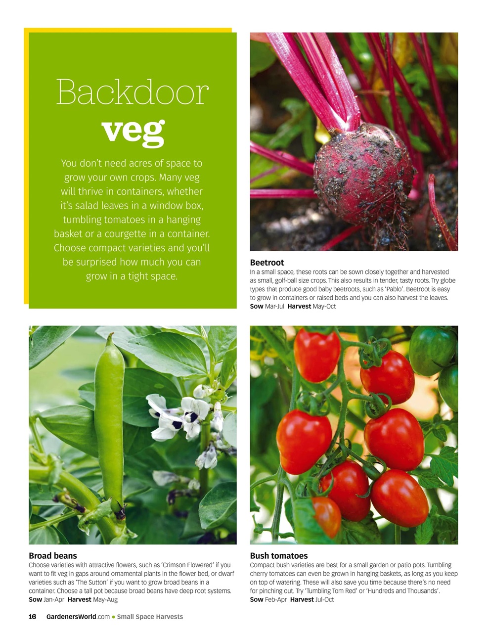 BBC Gardeners’ World Magazine Preview Pages