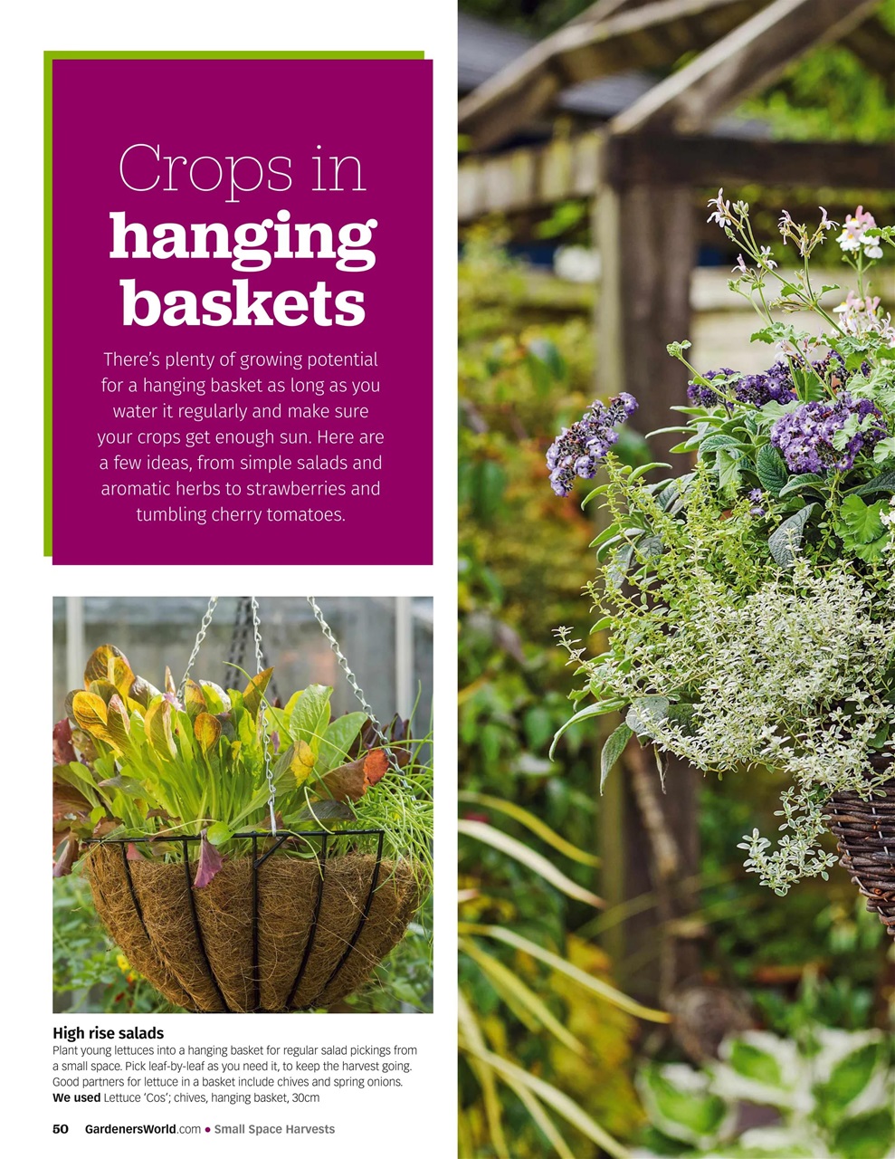 BBC Gardeners’ World Magazine Preview Pages
