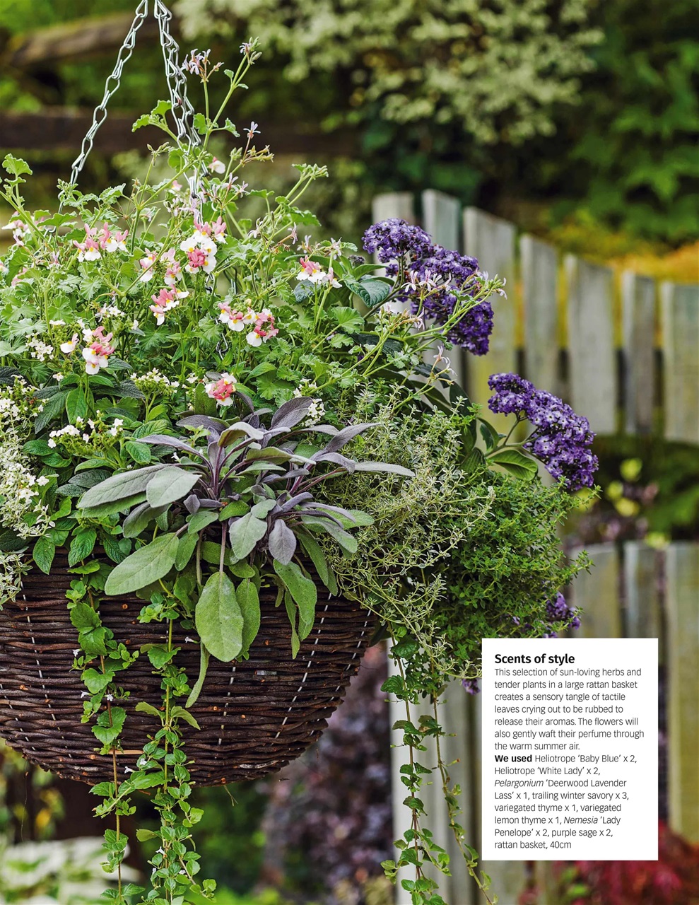 BBC Gardeners’ World Magazine Preview Pages