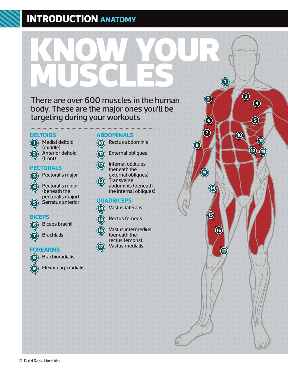 Men’s Fitness Guides Preview Pages