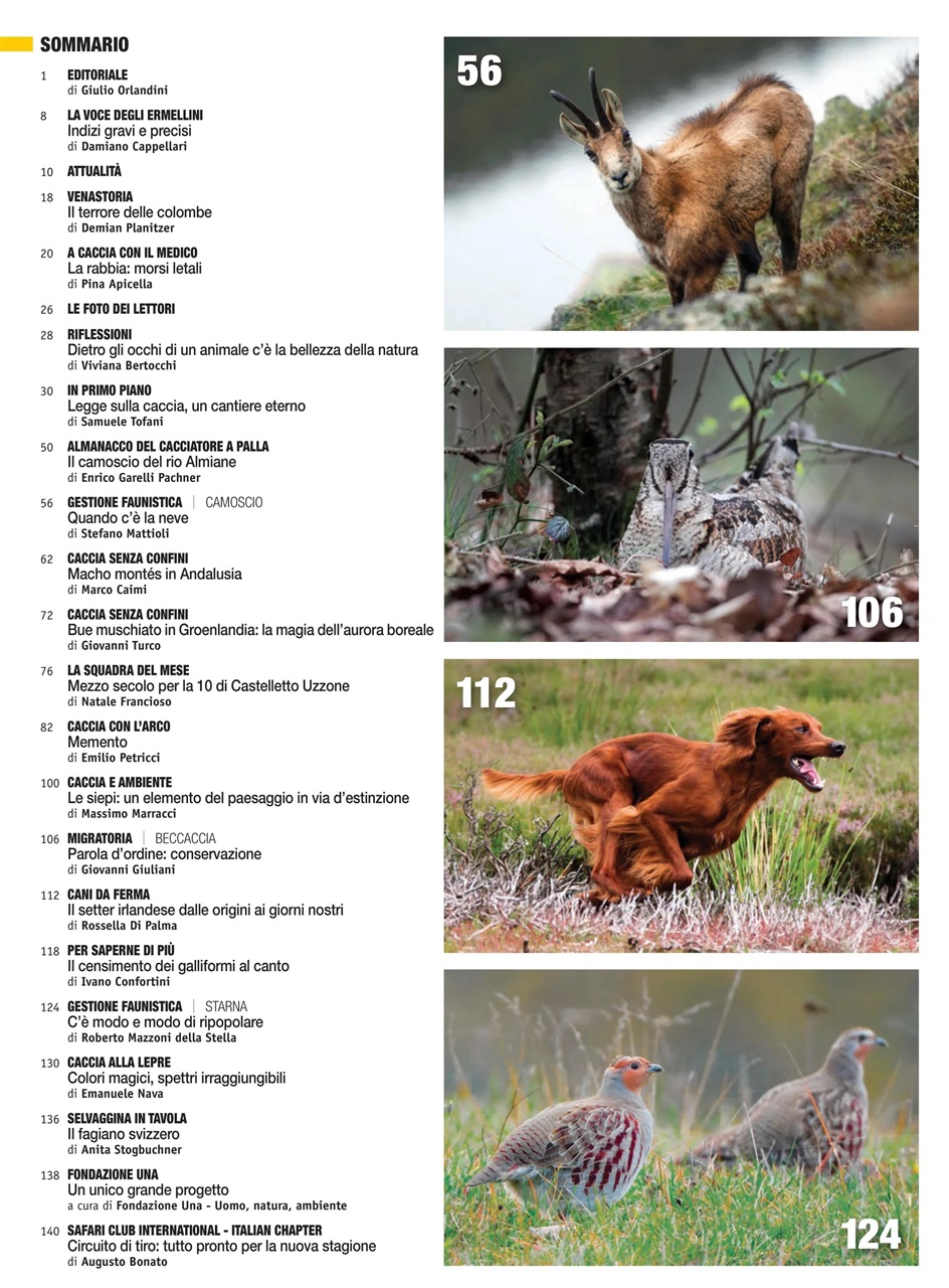 Caccia Magazine Preview Pages