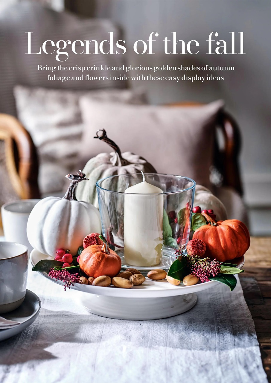 Home Interests Bookazine Preview Pages