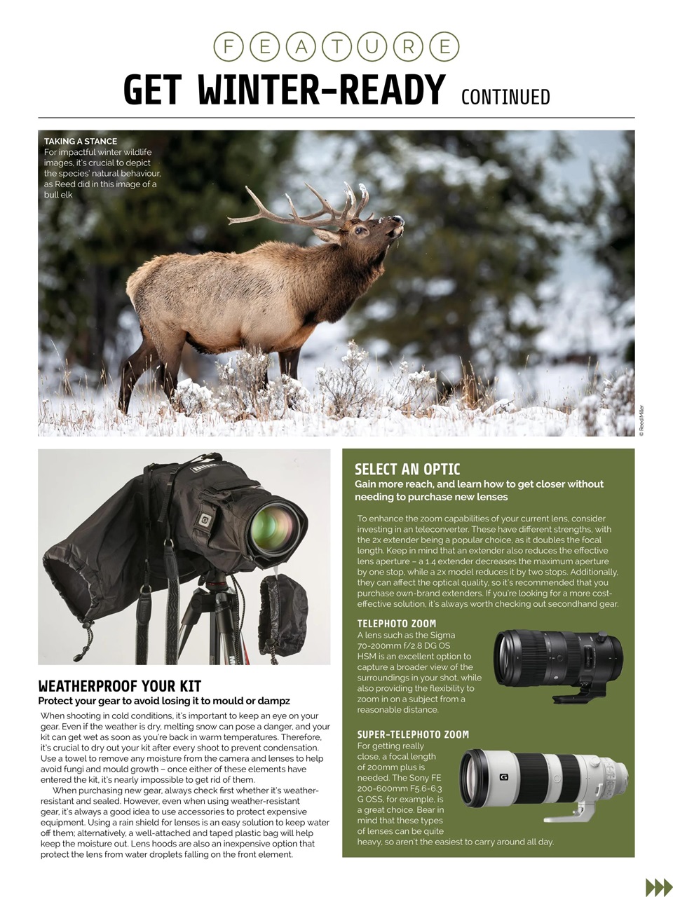 Photography Week Preview Pages