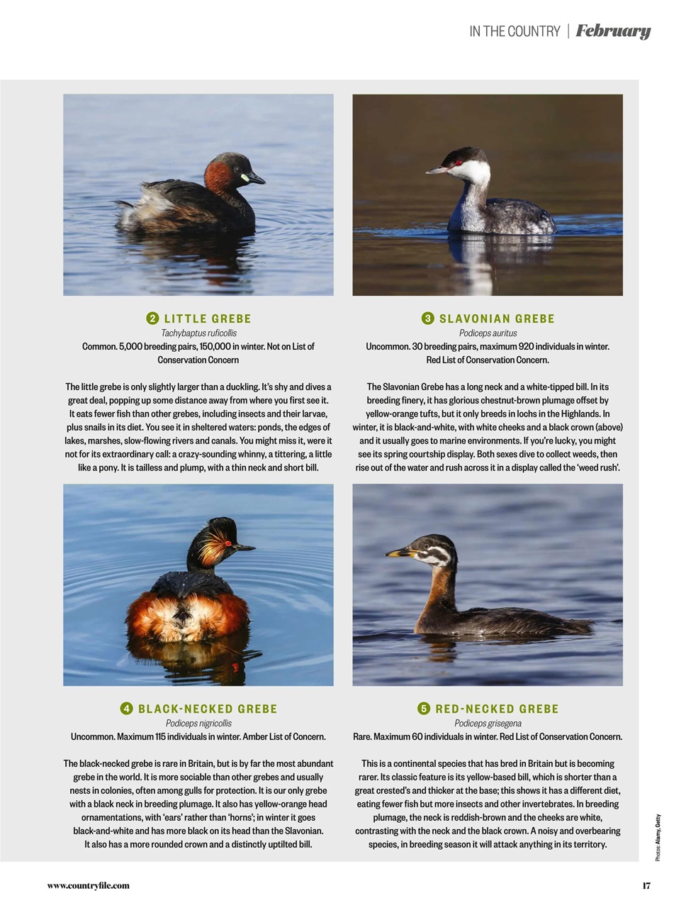 BBC Countryfile Magazine Preview Pages