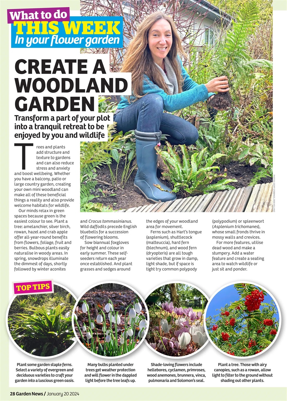 Garden News Preview Pages